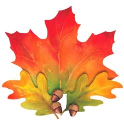 Fall/Autumn