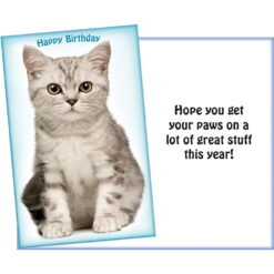 Value Greeting Cards