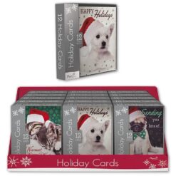 Christmas Box Greeting Cards