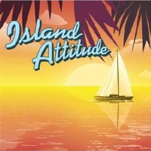 Island Attitude Napkins Beverage