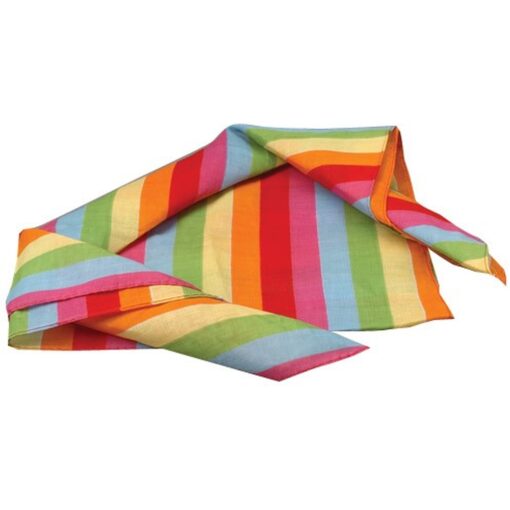 Rainbow Stripe Bandanna