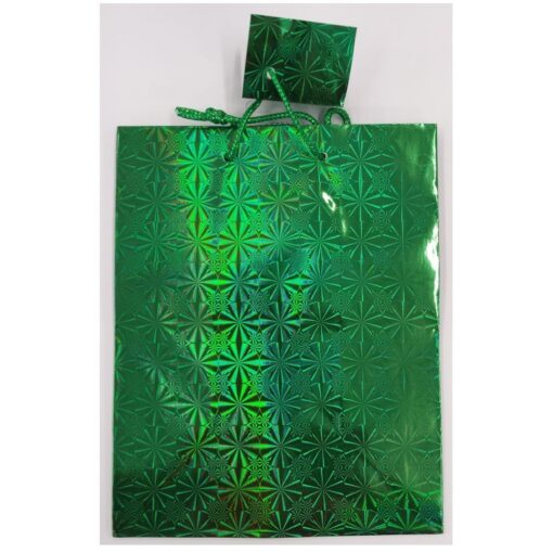 Green Holographic Gift Bag, Medium