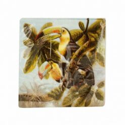 Tropical Toucan Napkins Beverage 24CT