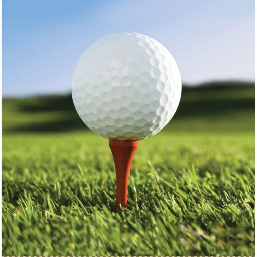 Golf Fanatic Napkins Lunch 18Ct