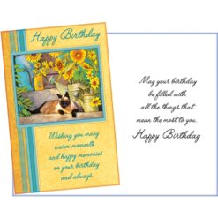 GC Happy Birthday w/Sunflowers & Cat