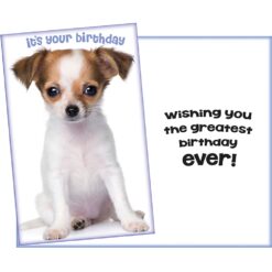 GC It's Your Birthday (Puppy)