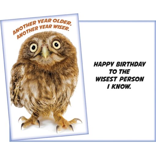 Gc Another Year Older... (Owl)