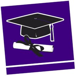 Purple Grad Napkins Beverage 36CT