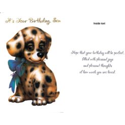 GC Bday Son Juvenile