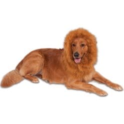 Pet's Deluxe Lions Mane