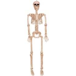 Skeleton Posable 36"