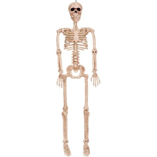 Skeleton Posable 36&Quot;