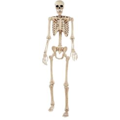 Skeleton Large Pose N Stay 74" (6.2ft Tall)