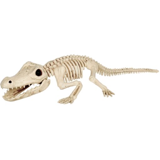 Crocodile Skeleton 34.5&Quot;