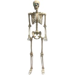 Skeleton 60" Animated, Morphing, Talking w/Light-Up Eyes