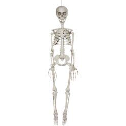 Skeleton Realistic 35"