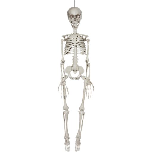 Skeleton Realistic 35&Quot;