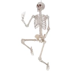 Skeleton Posable 60in