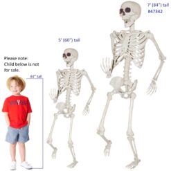 Skeleton Titan 7ft