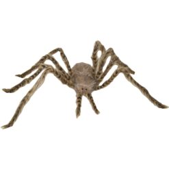 Spider Light Brown 40.9in