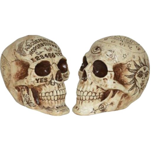 Skull Fortune Telling Astd 7&Quot;