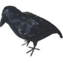 Crow Standing Realistic 12"