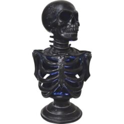Skeleton Light-Up Torso 12.5"