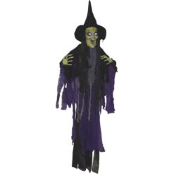 Witch Hanging Sonic 51"