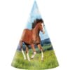 Horse & Pony Party Hats 8CT