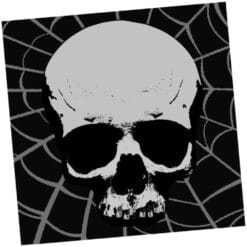 Skull Terror Napkins Beverage 18CT