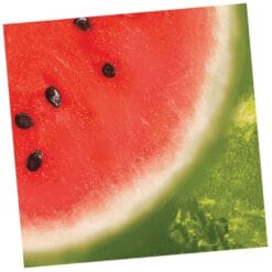 Watermelon Cheer Napkins Lunch 16CT