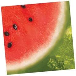 Watermelon Cheer Napkins Beverage 18CT