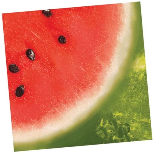 Watermelon Cheer Napkins Beverage 18Ct