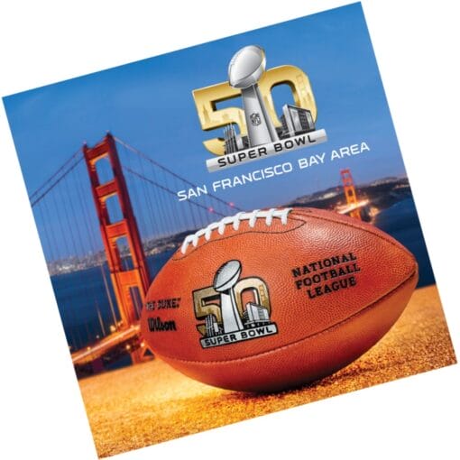 Super Bowl 50 Napkin Lunch 16Ct