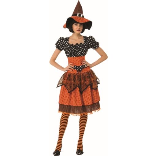 Polka Dot Witch Costume Adult