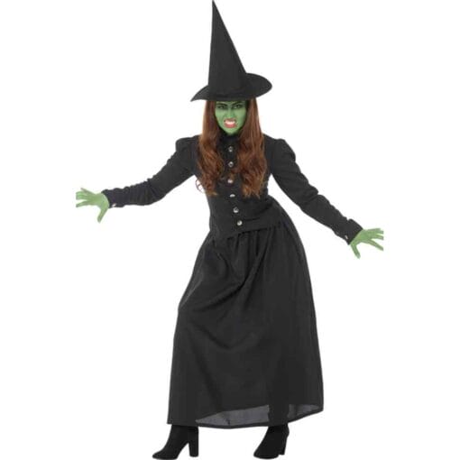 Wicked Witch Adult Costume