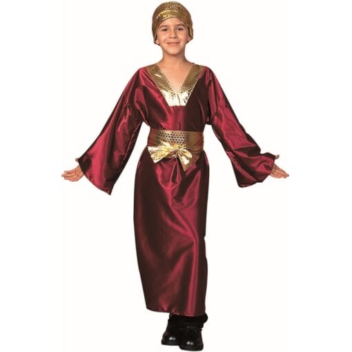 Wiseman Wine Child Costume