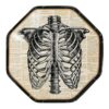 Vintage Skeleton Octagonal Plates Paper 7
