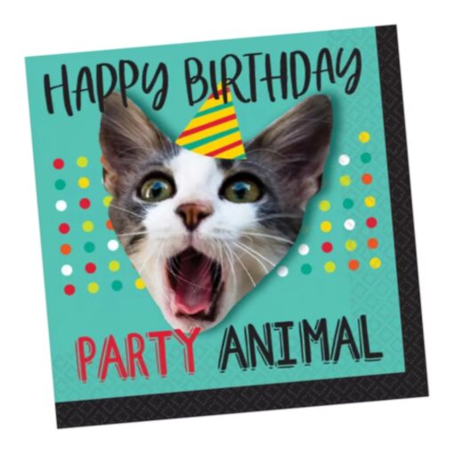 Over-The-Hill Party Animal Napkins Beverage 16Ct