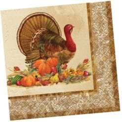 Rustic Turkey Napkins Beverage 24CT