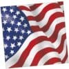 Usa Flag Napkins Beverage 16Ct