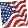 USA Flag Lunch Napkins 16CT