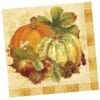 Pumpkin Harvest Napkins Beverage 16CT