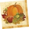 Pumpkin Harvest Napkins Lunch 16Ct
