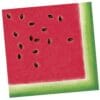 Summer Watermelon Napkins Beverage 16CT