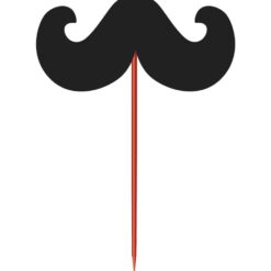 Lip and Mustache Picks 12CT