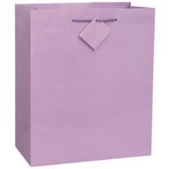Solid Pastel Giftbag Asst-lrg
