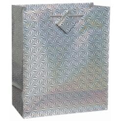 Solid Hologr Giftbag Asst-jumb