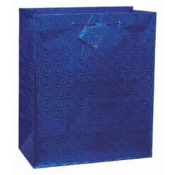 Solid Hologr Giftbag Asst-Lrg