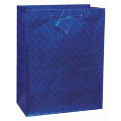 Solid Hologr Giftbag Asst-Med